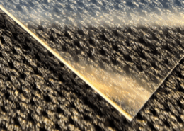 Diced wafer