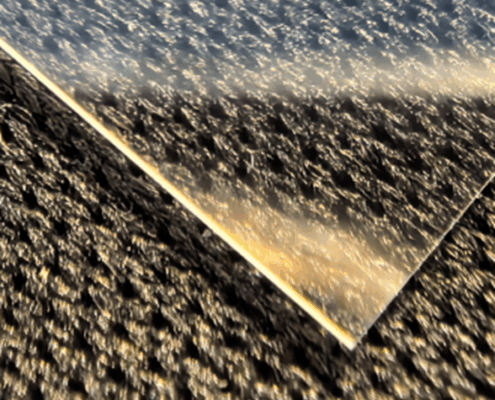 Diced wafer