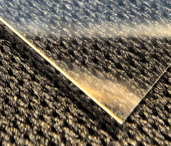 Diced wafer